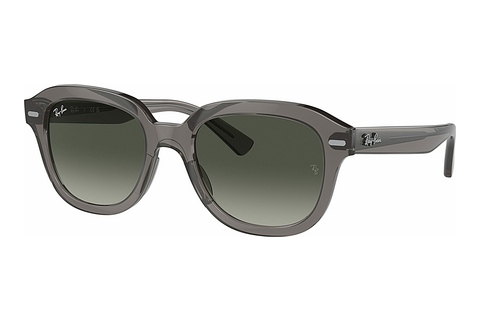 Ochelari de soare Ray-Ban ERIK (RB4398 667571)