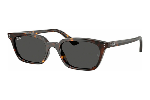 Ochelari de soare Ray-Ban ZAYA (RB4456 135987)