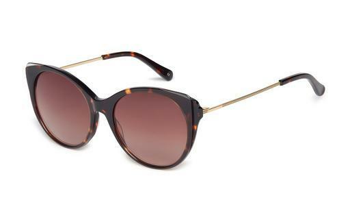 Ochelari de soare Ted Baker 1589 179