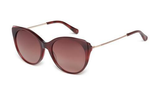 Ochelari de soare Ted Baker 1589 249