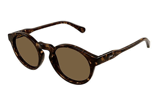 Ochelari de soare Chloé CC0014S 006