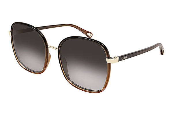 Ochelari de soare Chloé CH0031S 005