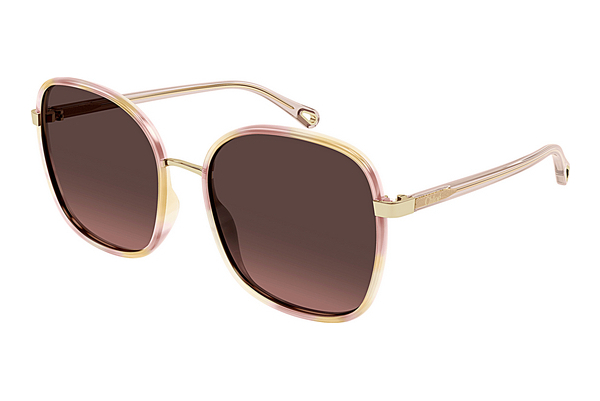 Ochelari de soare Chloé CH0031S 013