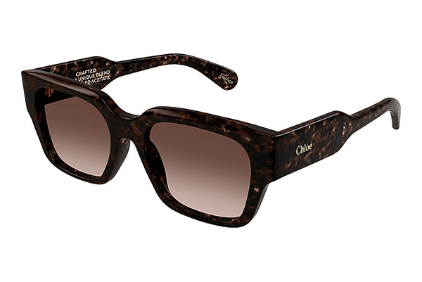 Ochelari de soare Chloé CH0190S 002