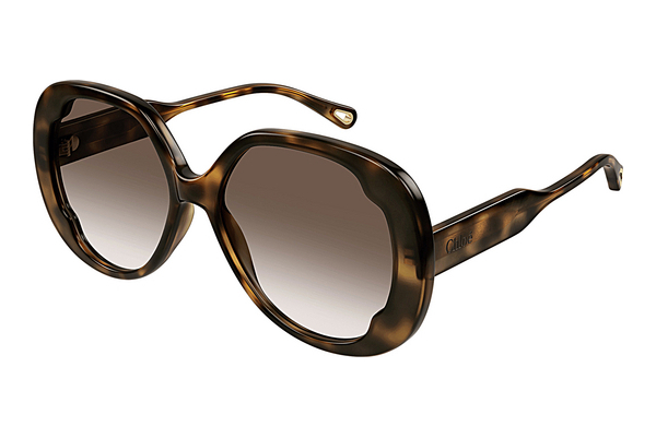 Ochelari de soare Chloé CH0195S 002