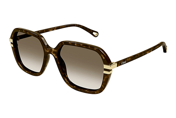 Ochelari de soare Chloé CH0204S 002