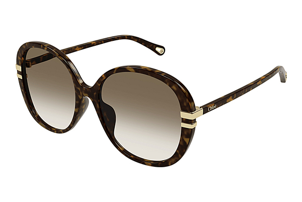 Ochelari de soare Chloé CH0207SK 002