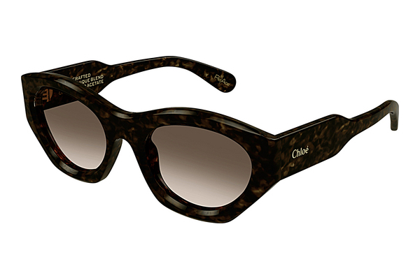 Ochelari de soare Chloé CH0220S 002