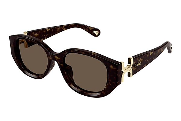 Ochelari de soare Chloé CH0237SK 002