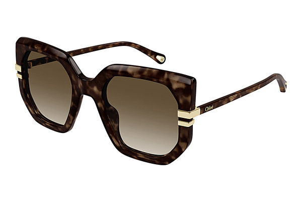 Ochelari de soare Chloé CH0240S 002