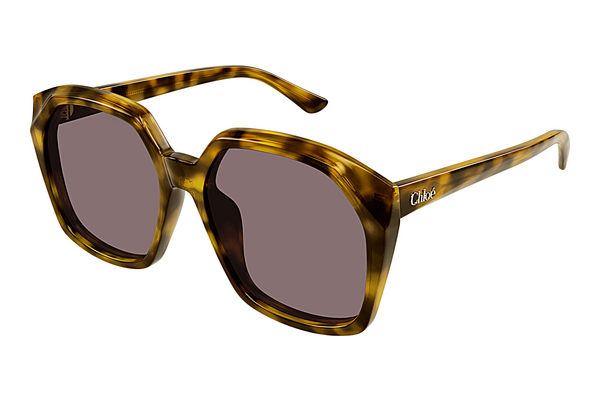 Ochelari de soare Chloé CH0280S 004