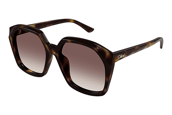 Ochelari de soare Chloé CH0280S 006