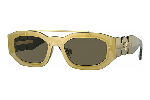 Ochelari de soare Versace VE2235 1002/3